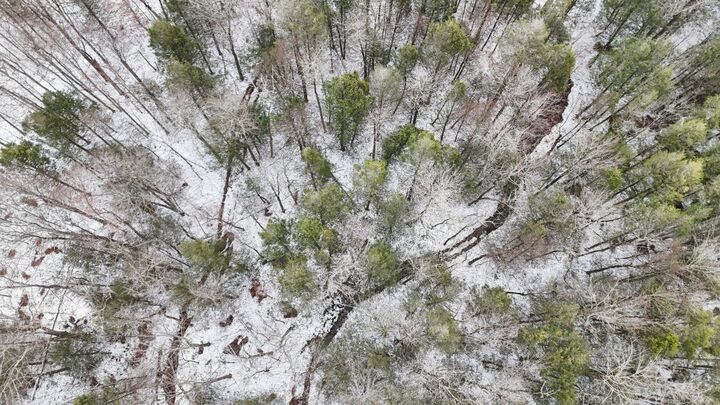 Property Photo: 00 Lamb Road NY 13811