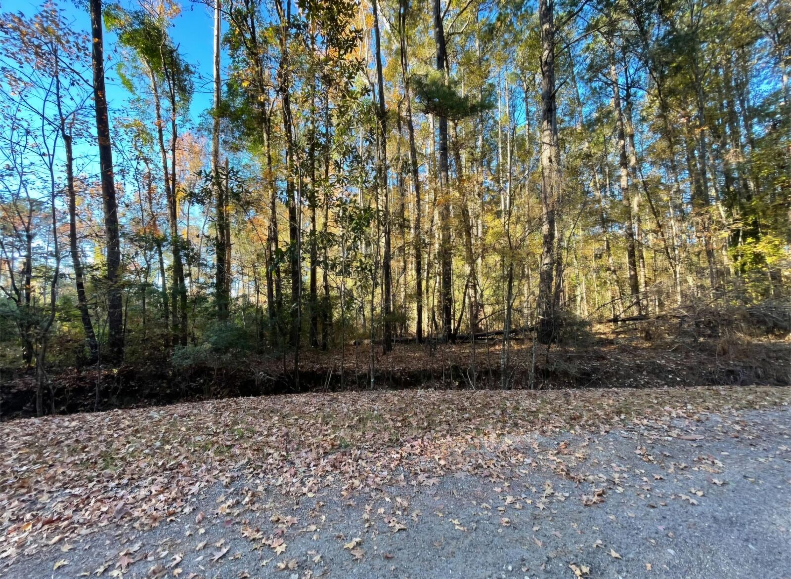 Property Photo:  00 Dig It Rd  SC 29483 
