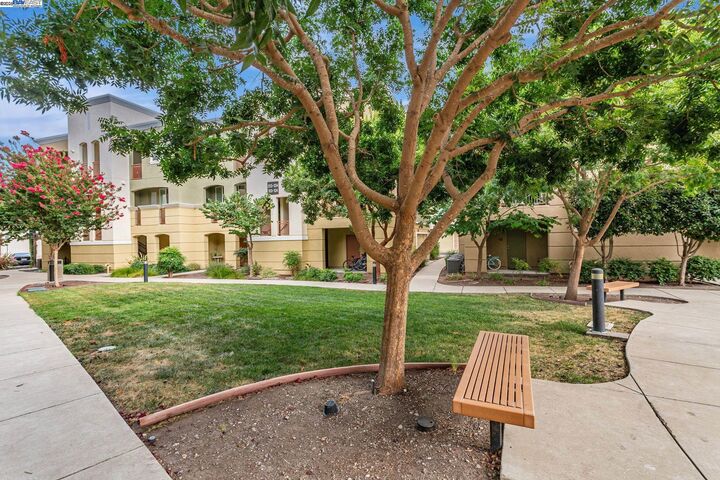 Property Photo:  4720 Norris Canyon Rd 206  CA 94583 