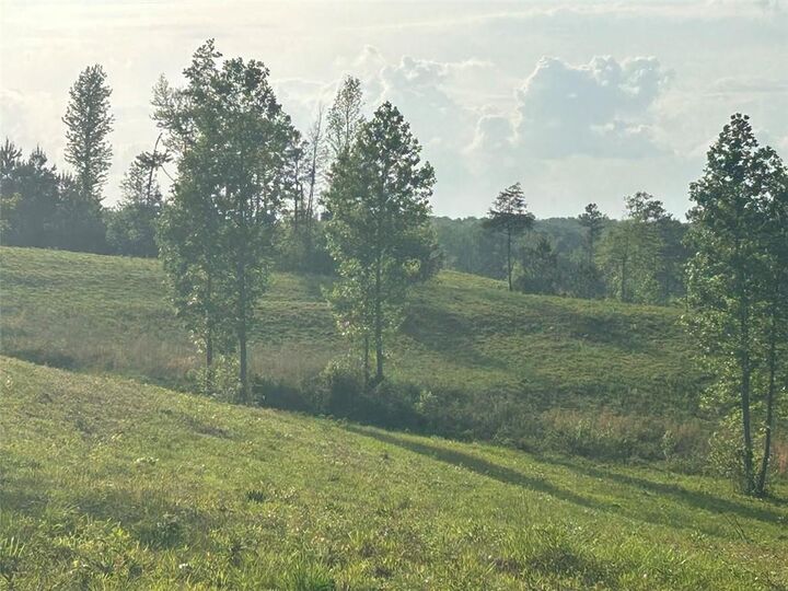 Property Photo:  0 Needmore Rd Unit (345.37 Acres)  GA 30170 