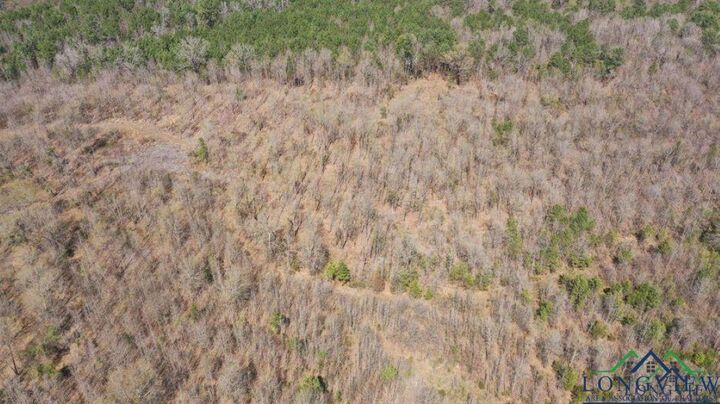 Property Photo: Tbd Fm 1399 TX 75566