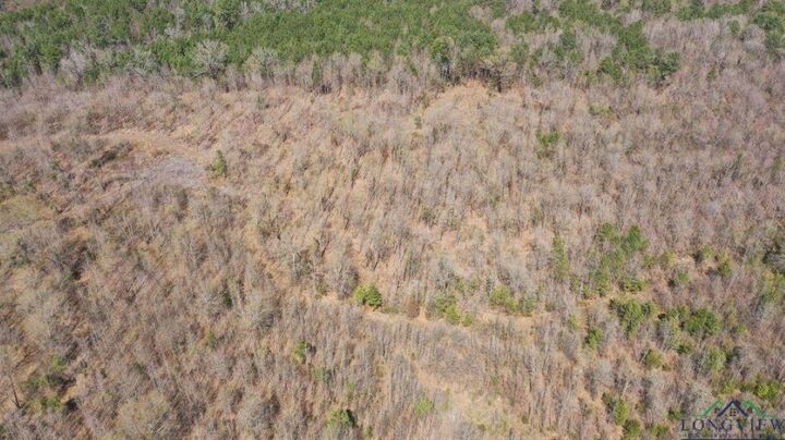 Property Photo:  Tbd Fm 1399  TX 75566 