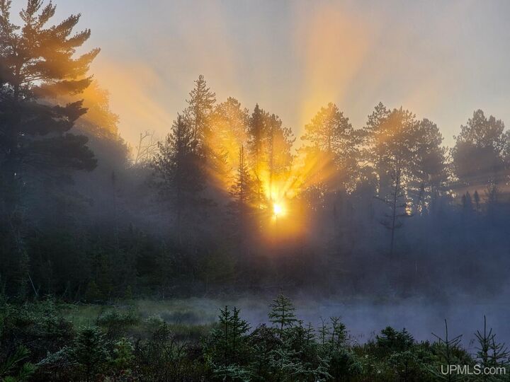 Property Photo:  2920 Bywater Lane  MI 49879 