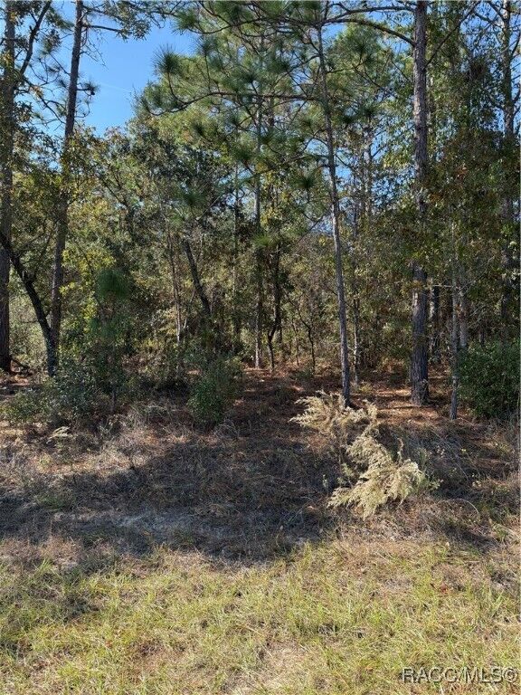 Property Photo:  7093 N Regent Terrace  FL 34433 