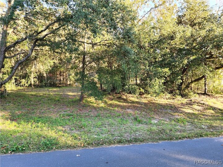 Property Photo: 1329 N Mediterranean Way FL 34453