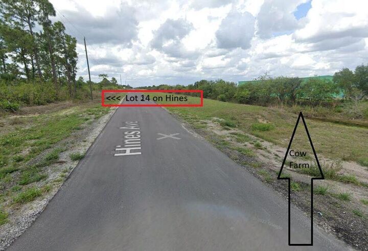 Property Photo:  1003 Hines Avenue  FL 33920 