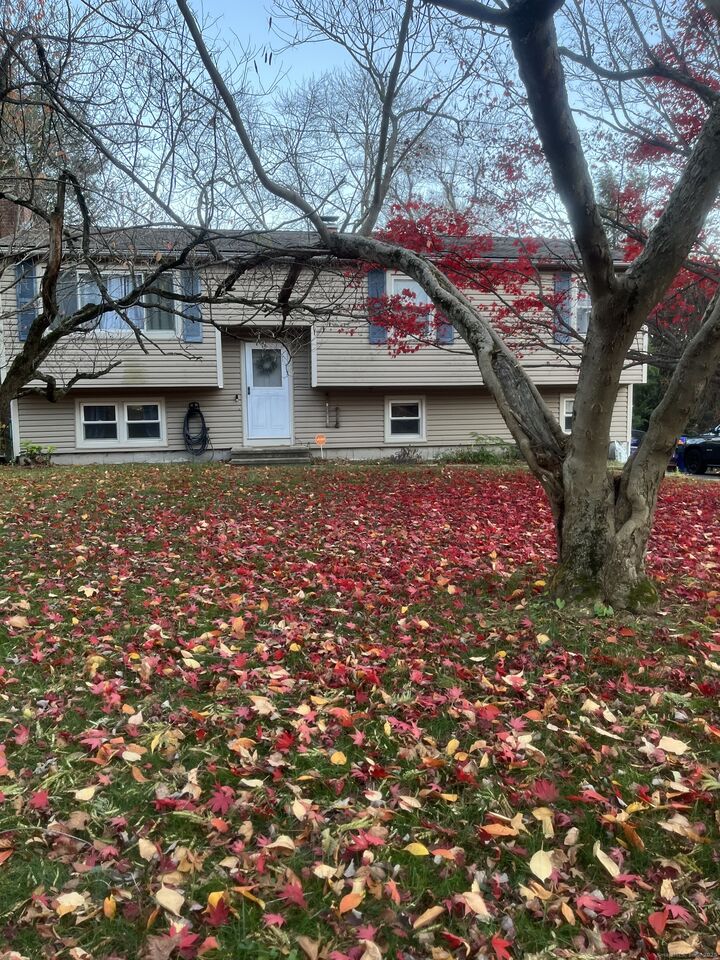 Property Photo:  80 School House Road  CT 06492 