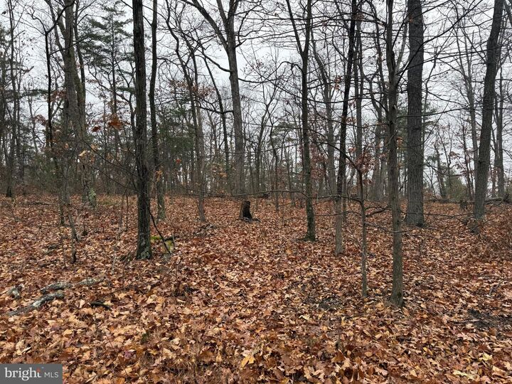 Property Photo:  0 White Pine Lane  VA 22602 