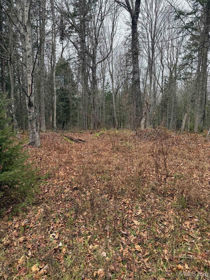 Property Photo: Lot 11 Keweenaw Pass MI 49945