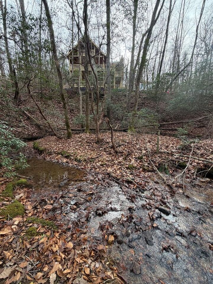 Property Photo: Lot A Magnums Trail GA 30513