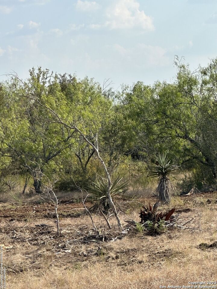 Property Photo:  5894 Fm 1107 Unit A-Tract 2  TX 78160 