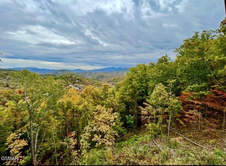 Property Photo:  1817 Pinestand Ridge Way Way  TN 37862 