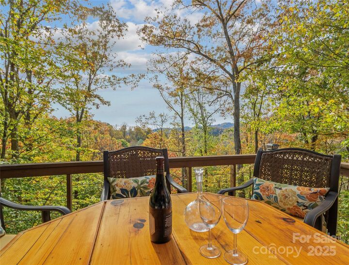 Property Photo: 351 Buck Springs Run NC 28754