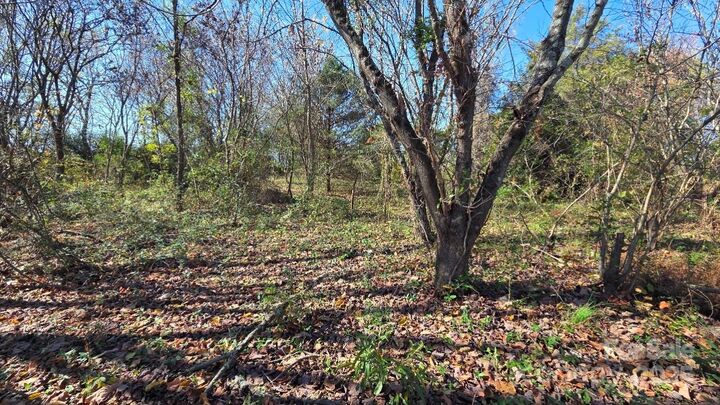 Property Photo:  00000 Reepsville Road  NC 28168 