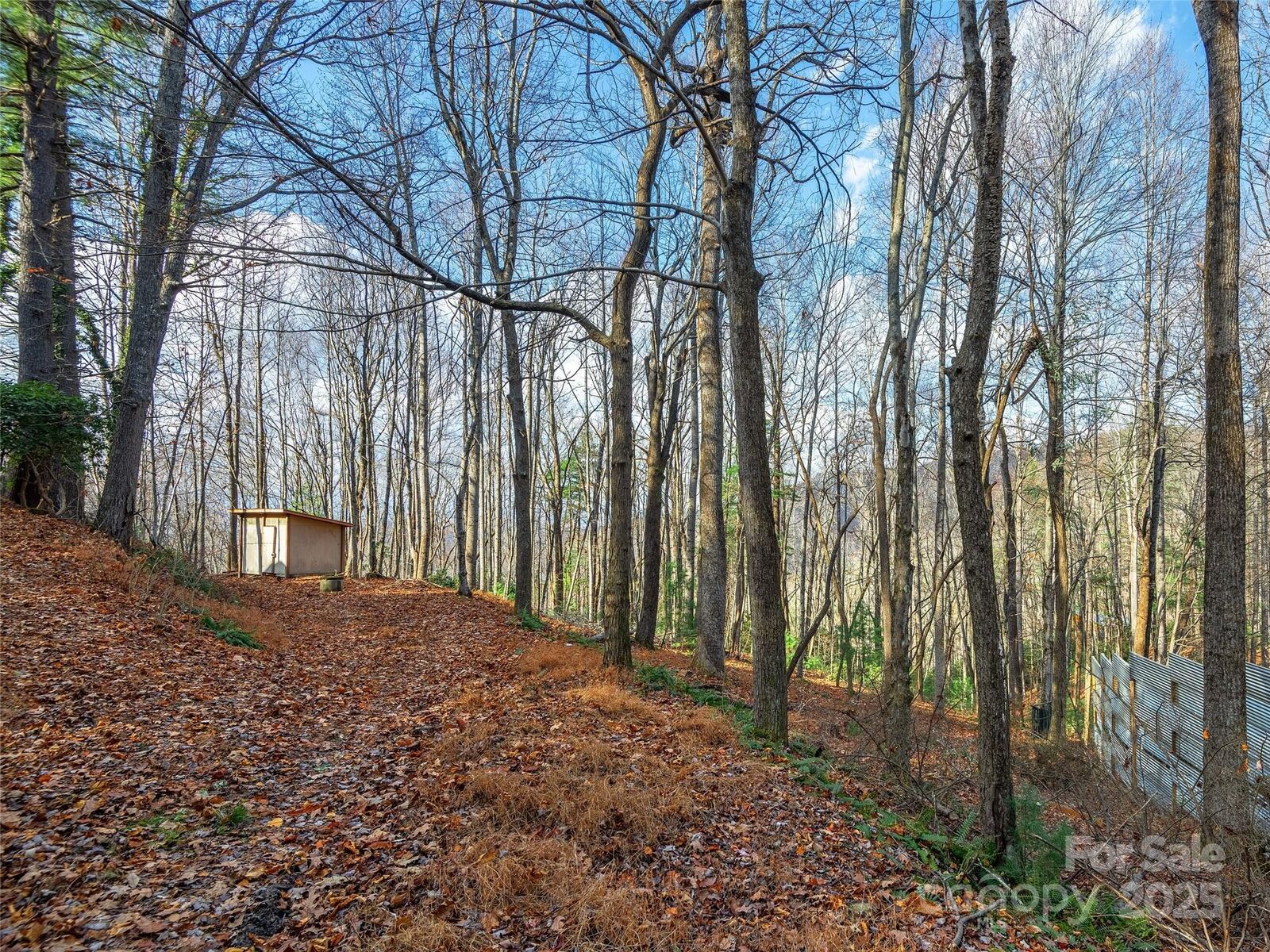 Property Photo:  000 Indian Cave Park Road  NC 28739 