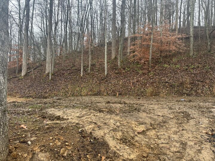 Property Photo:  137  Lot 54 Yellowstone Drive Lot 54  KY 40729 