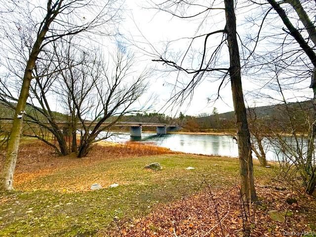 Property Photo: 8 River Road NY 12719