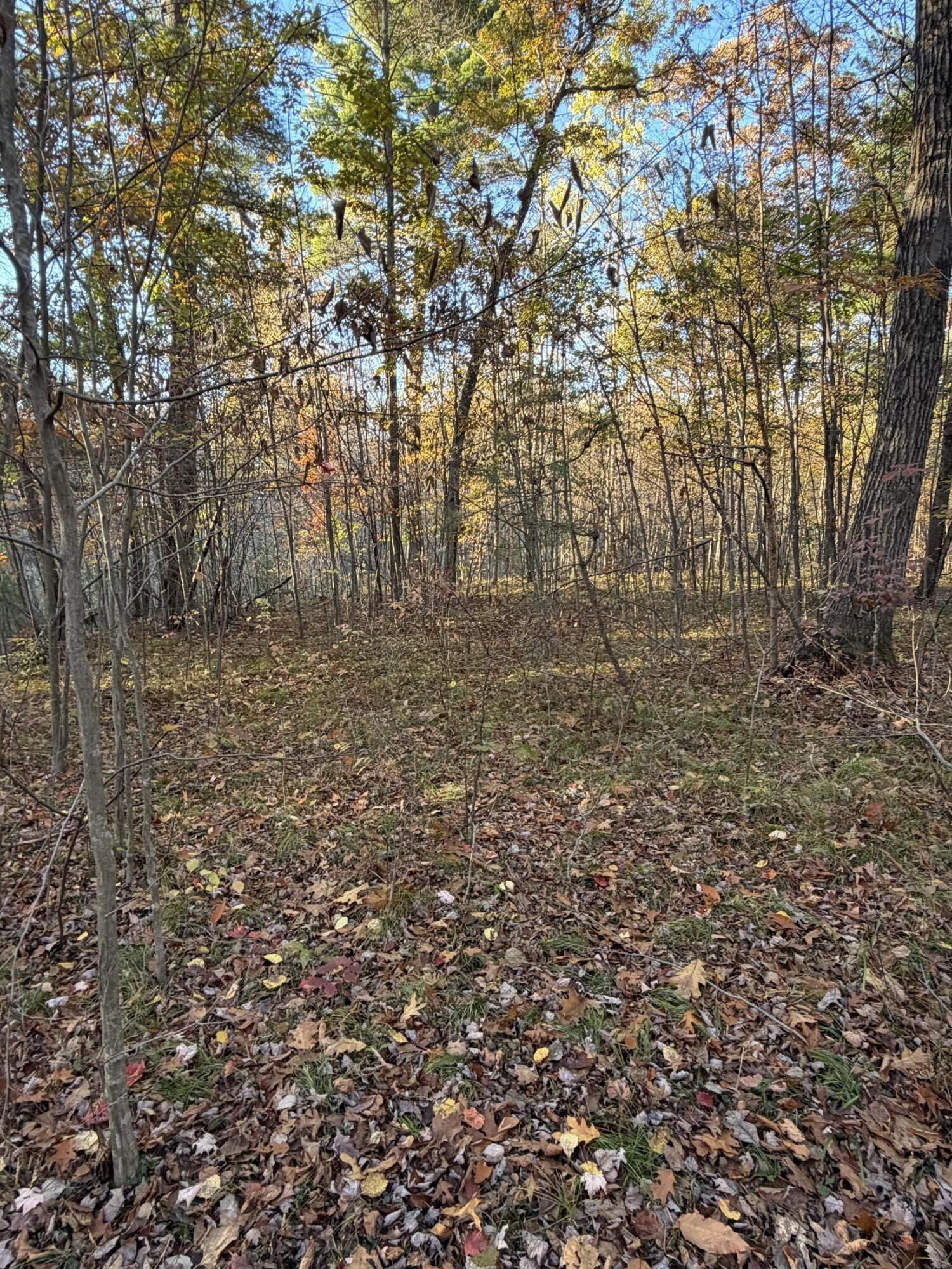 Property Photo: V/L Maple Hill Road MI 49329