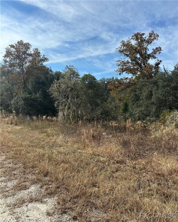 Property Photo: Lot 26 SE 133rd Avenue FL 34434