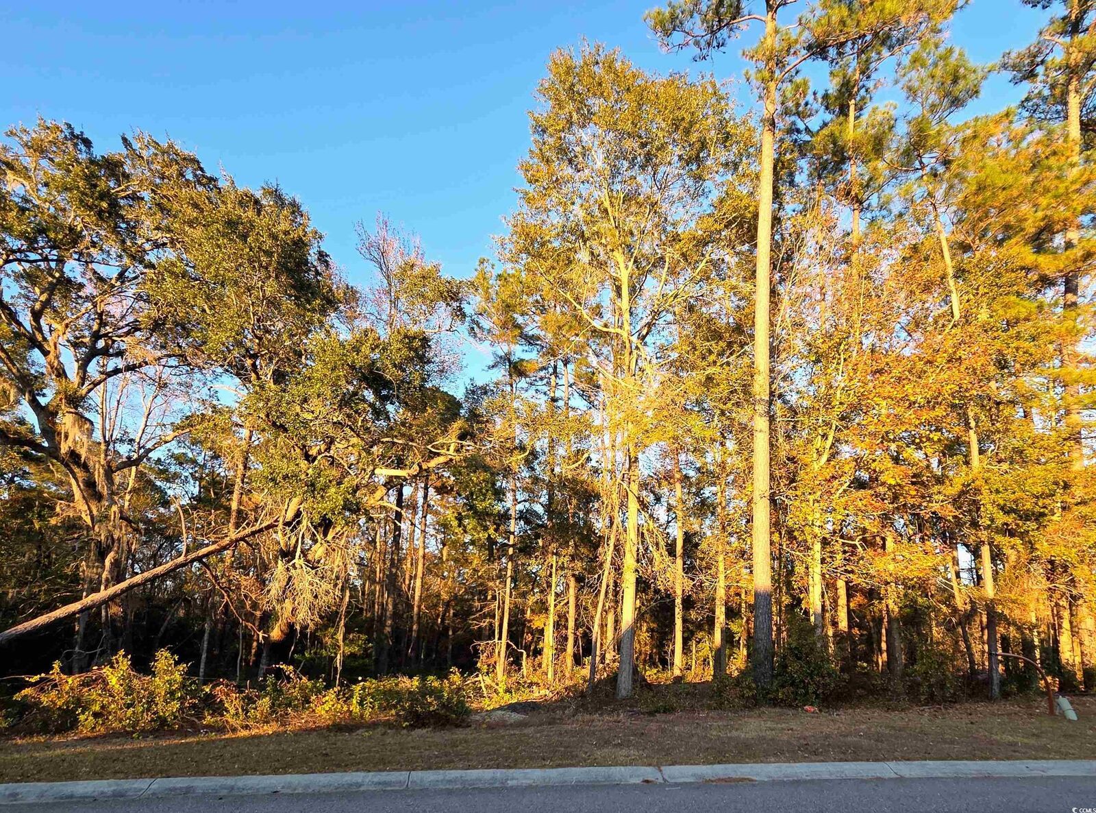 Property Photo: 616 McCown Dr. SC 29526