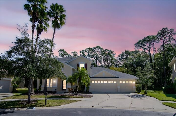 Property Photo:  16102 Colchester Palms Drive A  FL 33647 