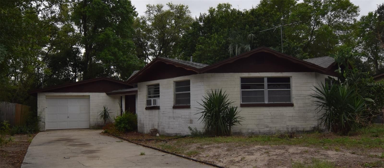 Property Photo:  8428 Anay Court  FL 34653 
