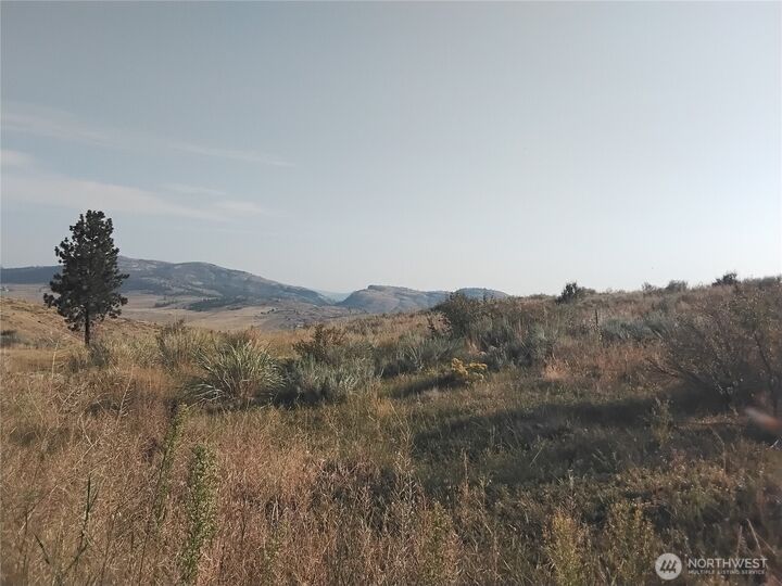 Property Photo:  4  Painted Rock Road  WA 98855 