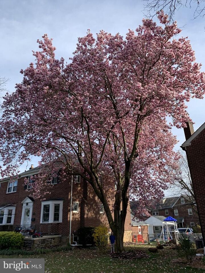 421 Regester Avenue  Baltimore MD 21212 photo