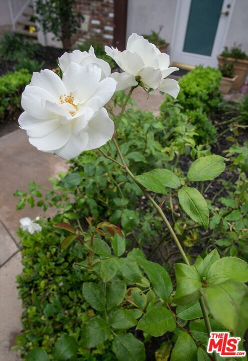 Property Photo:  8130 Redlands St  CA 90293 