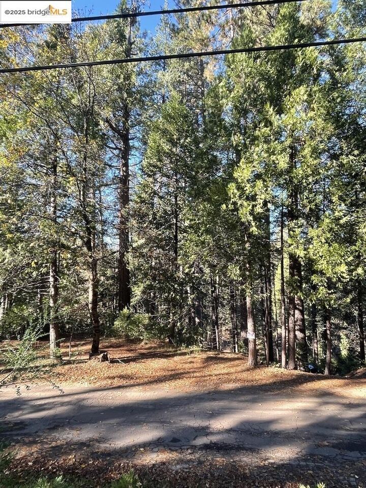 Property Photo: 22447 Ponderosa Dr CA 95383