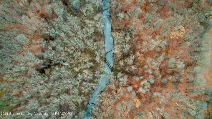 Property Photo: 0 Allen Road MI 48836