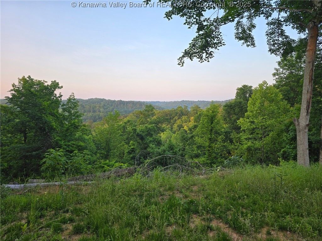 Property Photo:  91 Hawk Ridge Road  WV 25082 