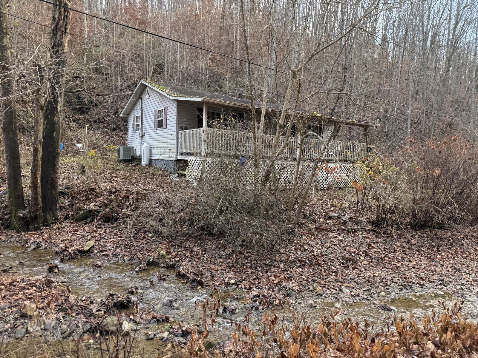 Property Photo:  556 Blaines Branch Road  KY 41311 