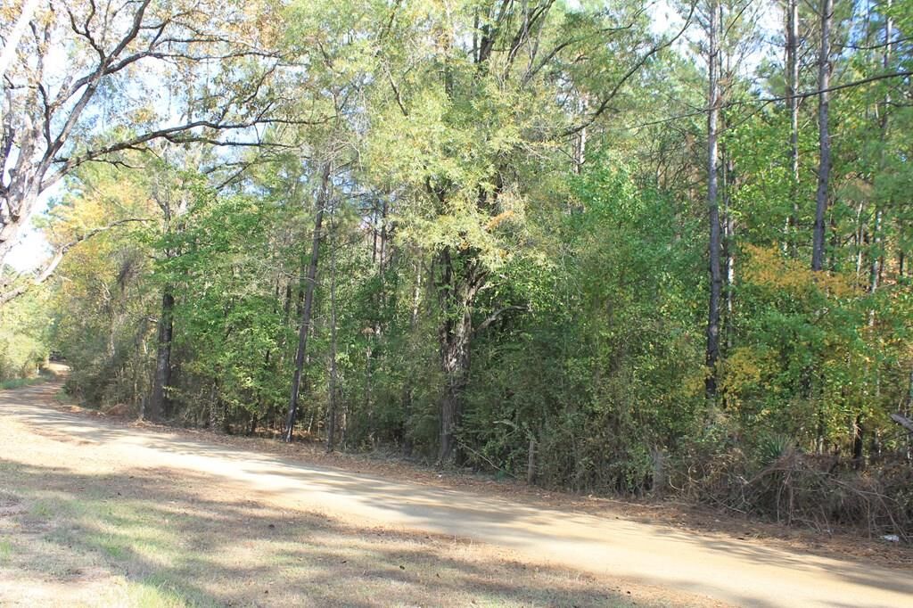 Property Photo:  L65271 Noble Drive  TX 75959 