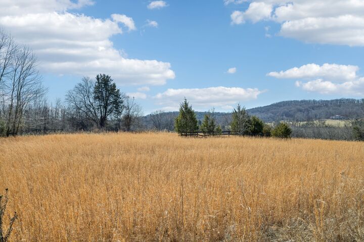 Property Photo: 8005 Palmore Hollow Pvt Ln TN 37135