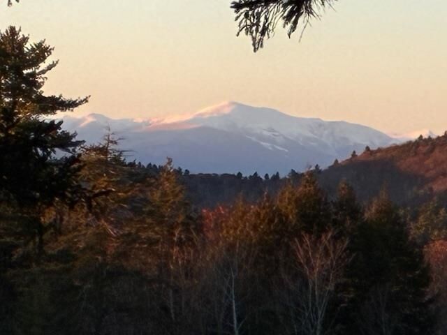 Property Photo:  Tbd Towle Hill Road  NH 03848 