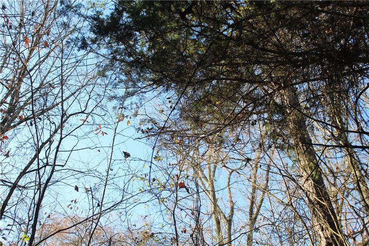 Property Photo:  001-04740-000 Mc 5045  AR 72687 