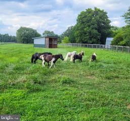 Property Photo:  679 Oak Hill School Road  DE 19734 