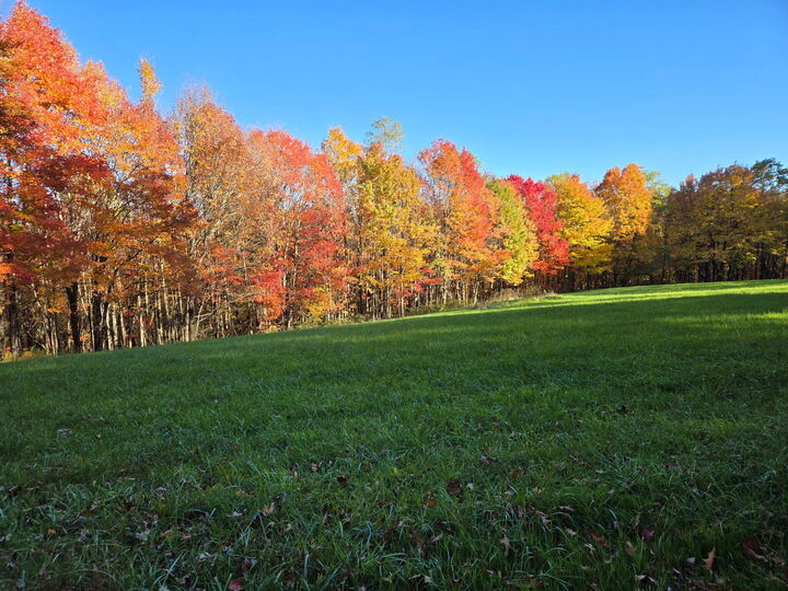 Property Photo: 2915 Quinwood Nutterville Rd WV 26680