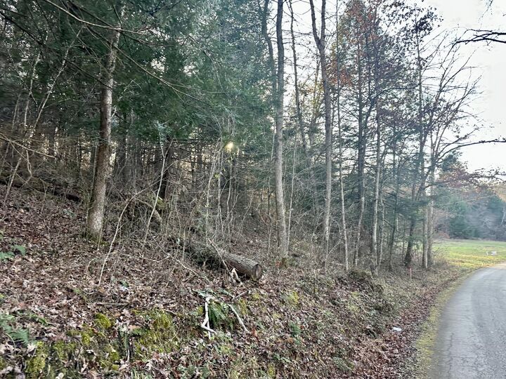 Property Photo:  Lot 13 Hensley Road  KY 40729 