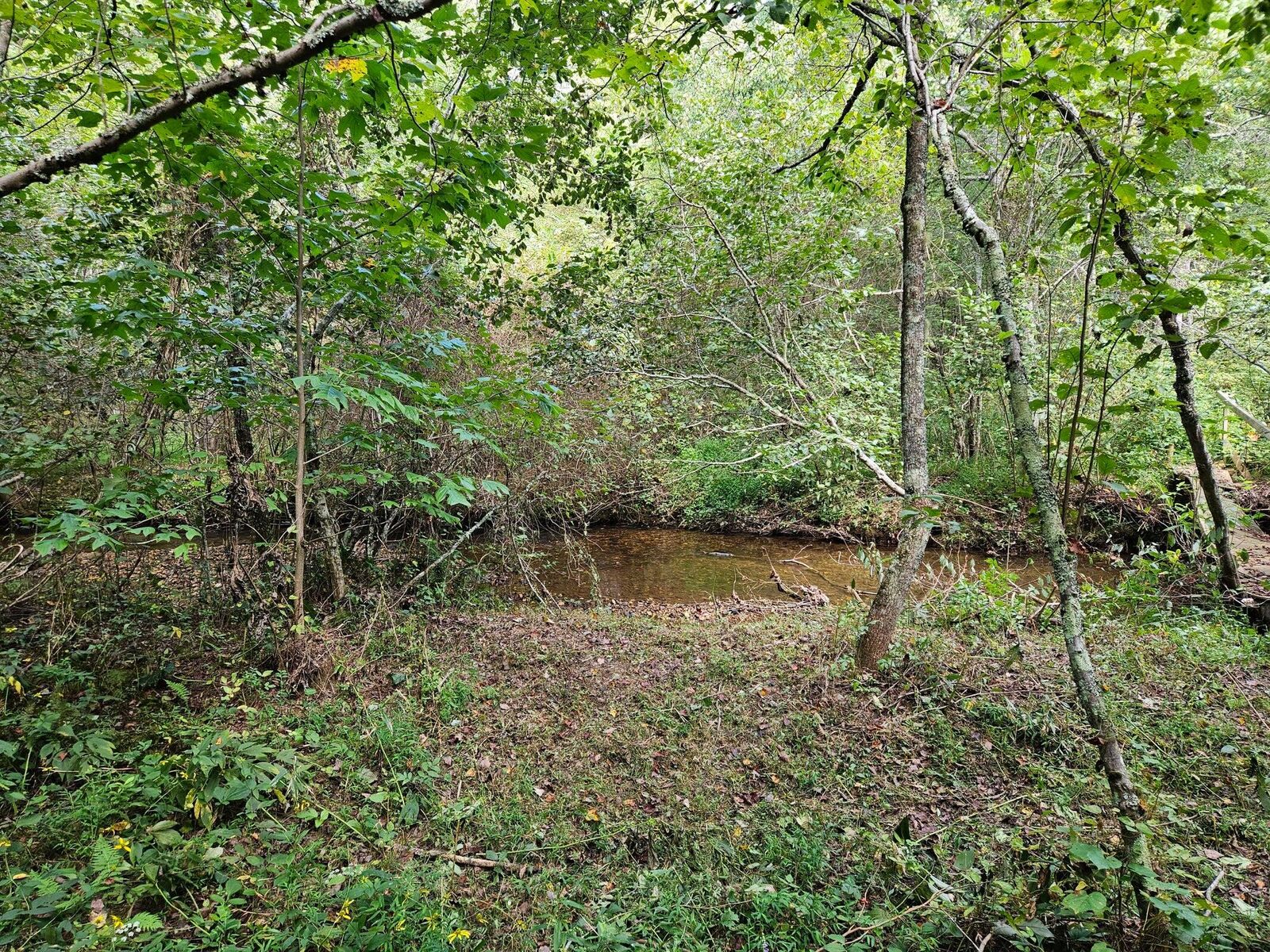 Property Photo:  000 Golf Course Road  TN 37317 