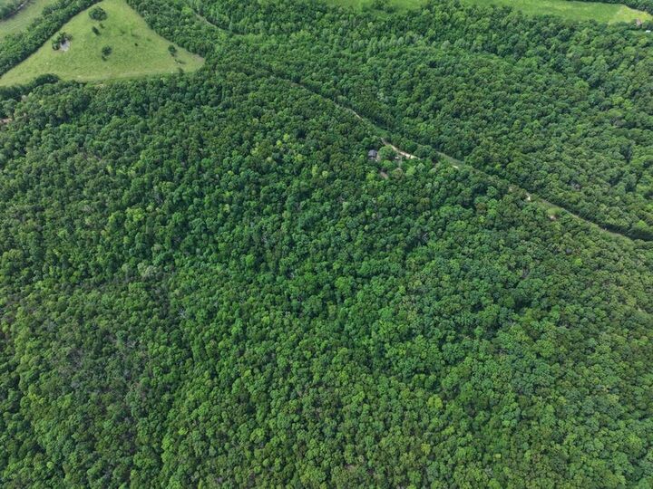 Property Photo: 8 Acres Stone Road MO 64854