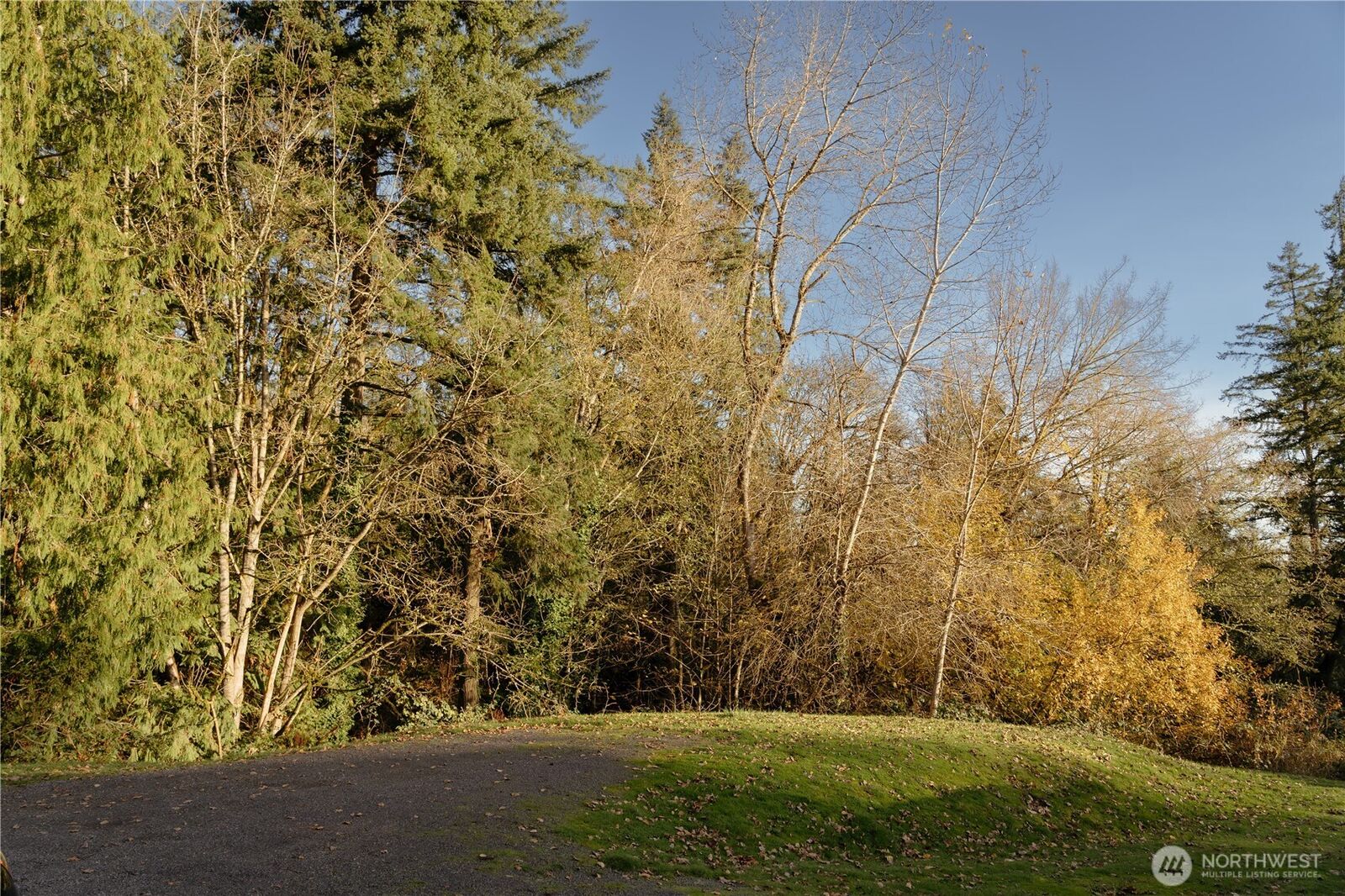Property Photo: 0 Cascade Drive WA 98632
