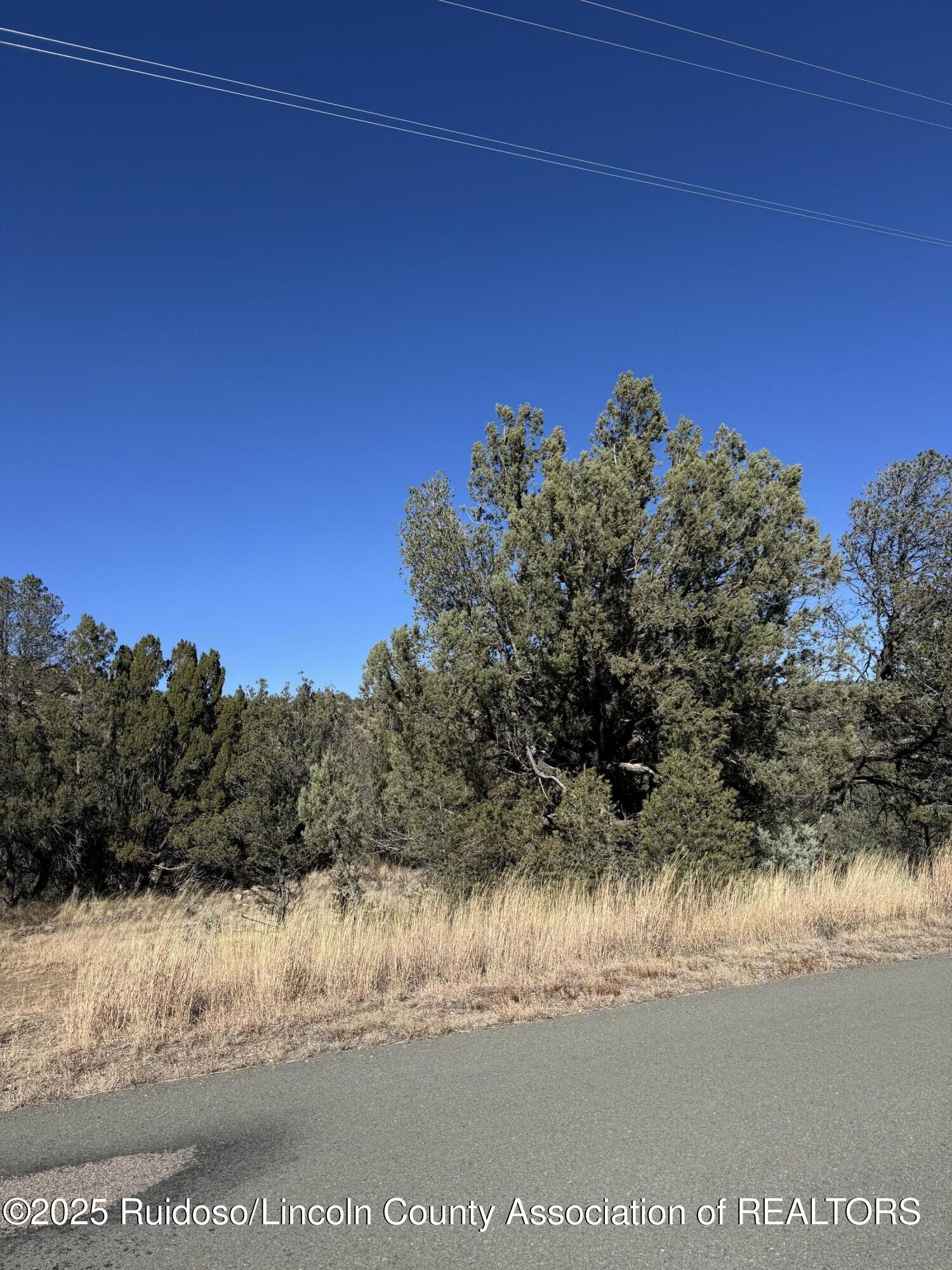 Property Photo: L310 Santiago Circle NM 88312