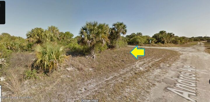 Property Photo:  2377 Andros Avenue SW  FL 32908 