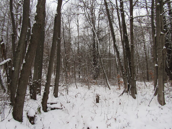 Property Photo: 200 Maple Dale Rd PA 15801