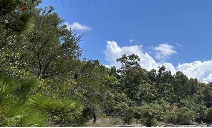 Property Photo: 2476 Rockbridge Road NW GA 30012