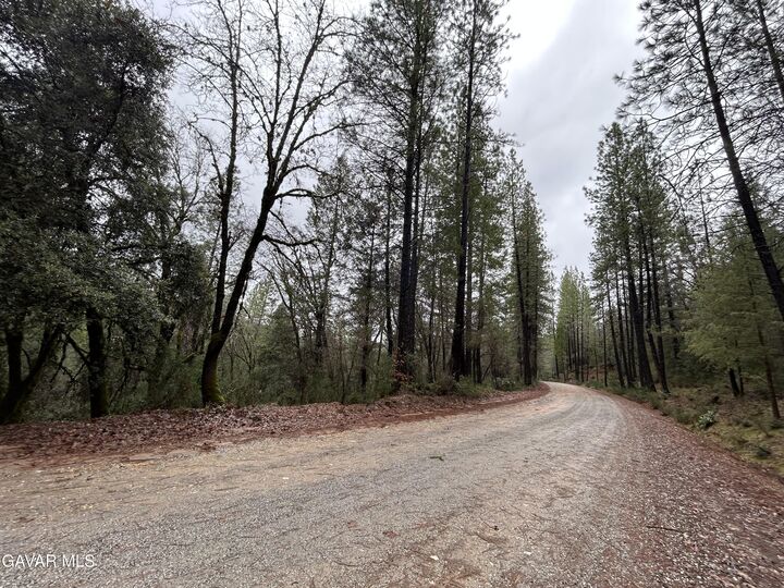 Property Photo:  14550 Grizzly Hill Road  CA 95959 