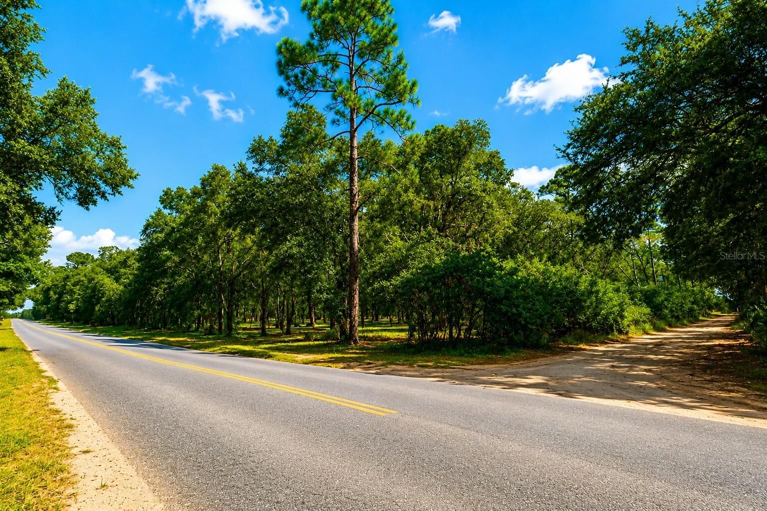 Property Photo:  Rolling Ares Road W  FL 32159 
