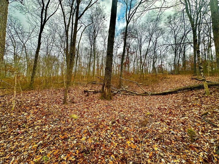 Property Photo: 0 Prussia Road OH 45690